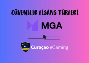 Lisans türleri